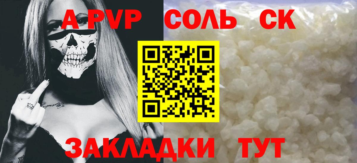Альфа ПВП СК Шали