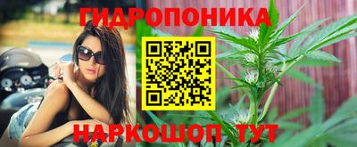 ГАЛЛЮЦИНОГЕННЫЕ ГРИБЫ Новозыбков