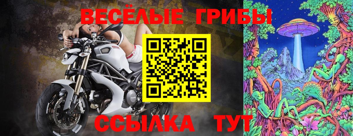 Галлюциногенные грибы Psilocybe Шали