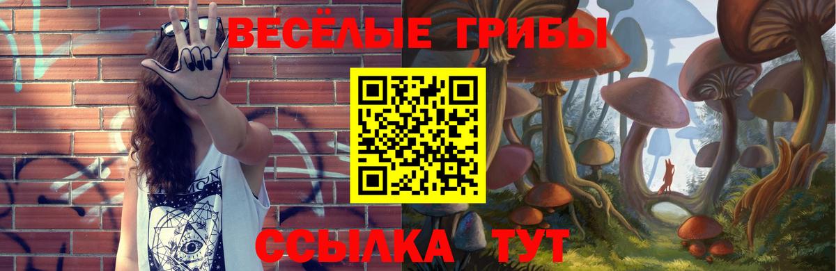 Псилоцибиновые грибы Psilocybe  Галлюциногенные грибы Psilocybe  закладки  Шали  Вход с VPN 